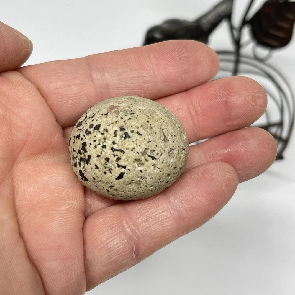 Vintage Decorative Bird Nest Sitter Solid Metal, Twigs & Real Rock Eggs Rustic